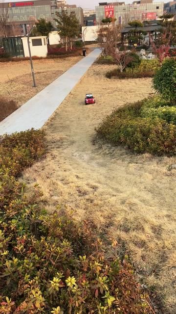 1/5 Scale Gas-Powered BMW Mini Rally Car - The Coolest Ride in the Park