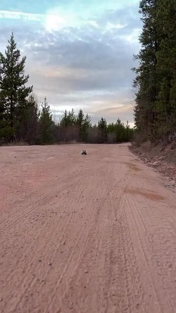 RC Car Model with Excellent Posture and Slight Bounce