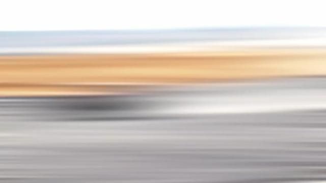 RC Car Adventures for Kids | Outdoor Fun with Remote Control Toys